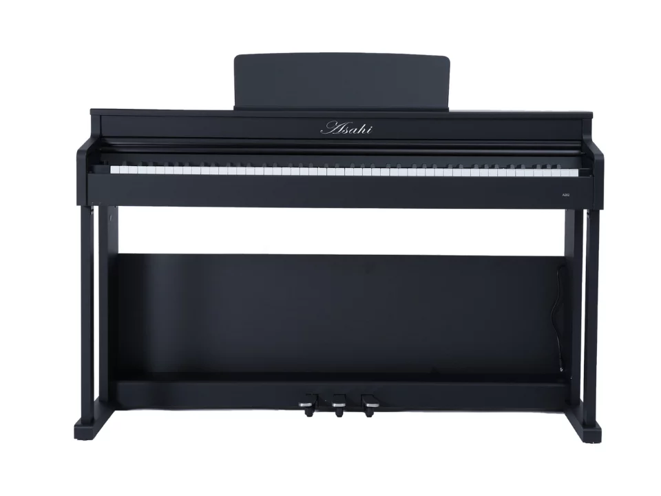 Asahi A202 (Black)