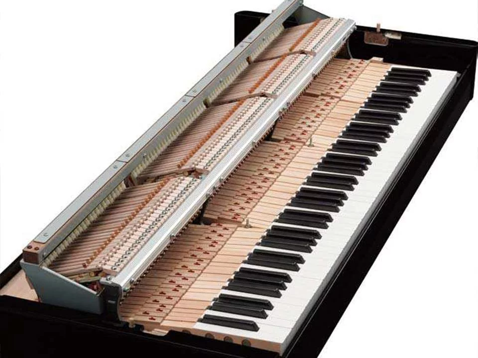 AVANT GRAND N1 (USED)