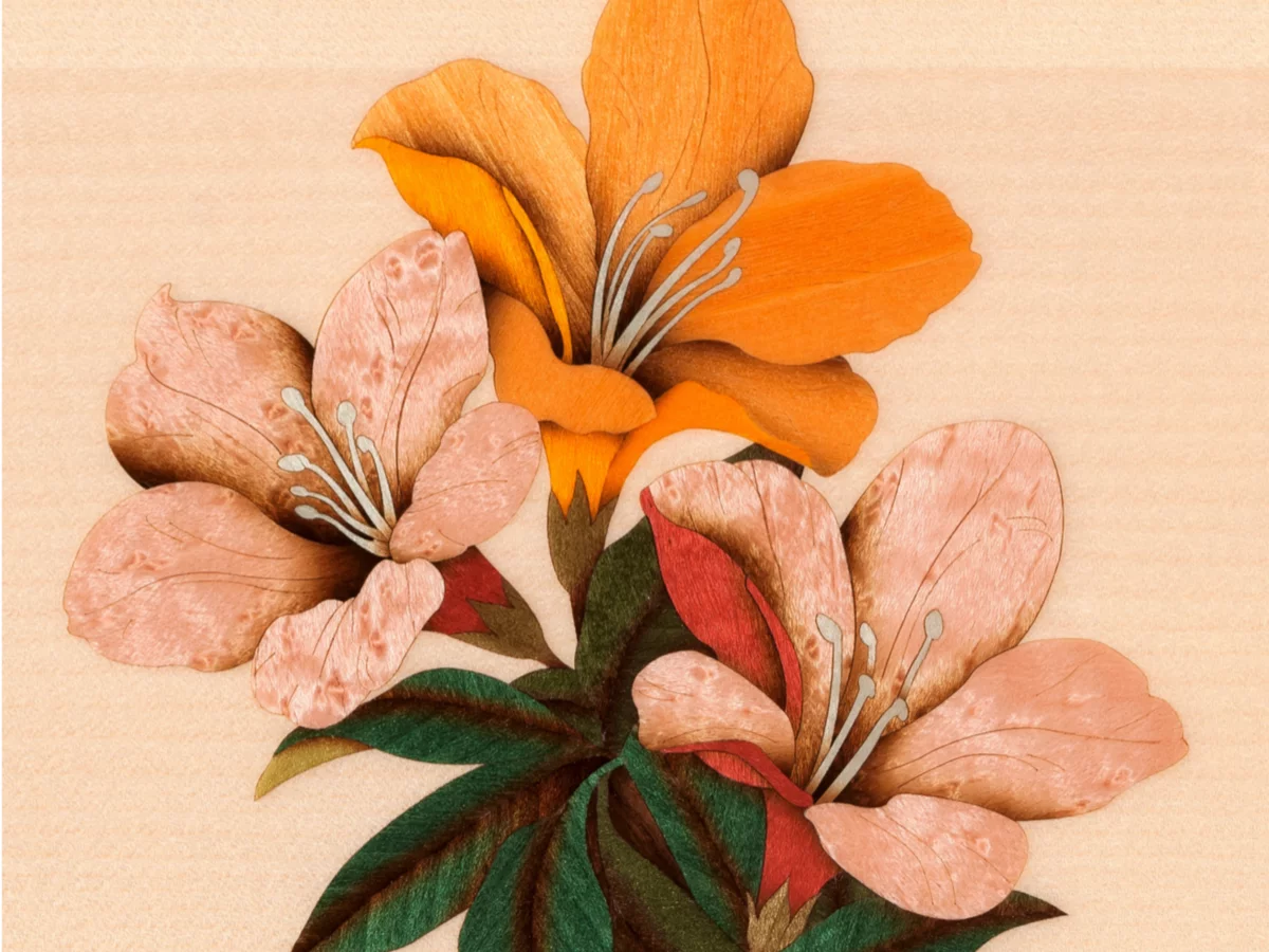 [Collector's Item] DRAGONFLY