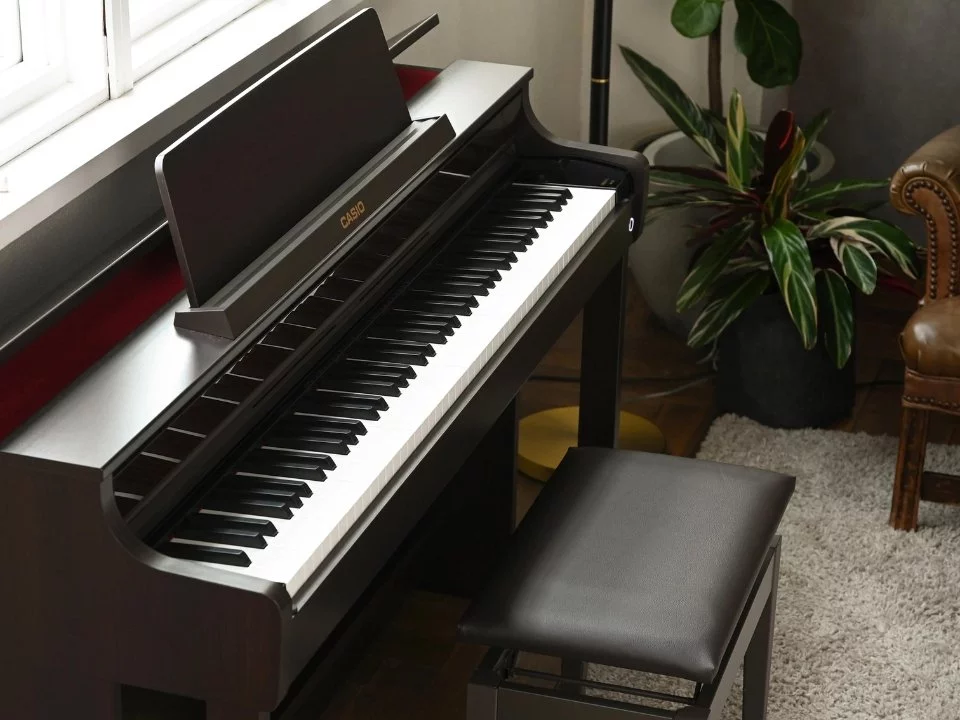 Casio AP-550 Rosewood (R)