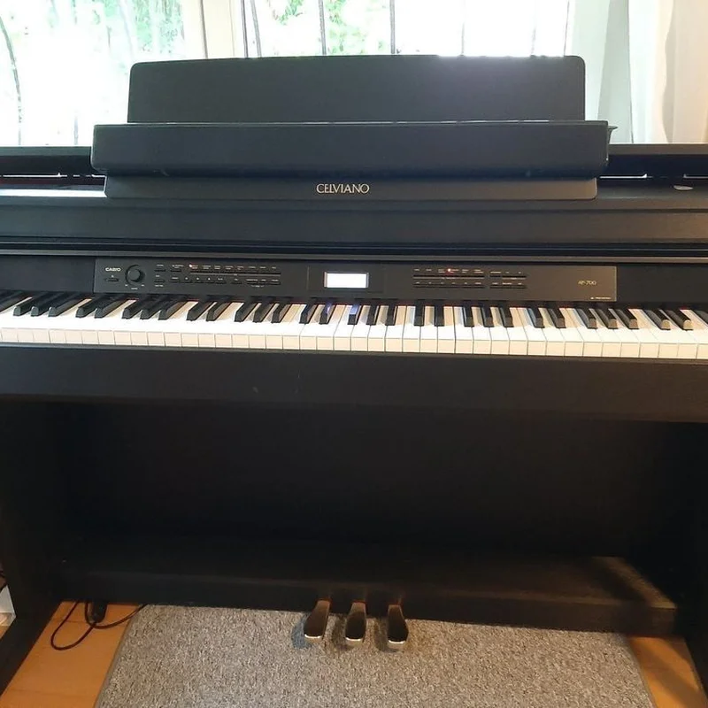Casio AP-700