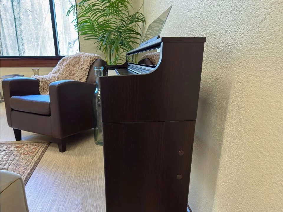 Casio AP-S450 Rosewood (R)