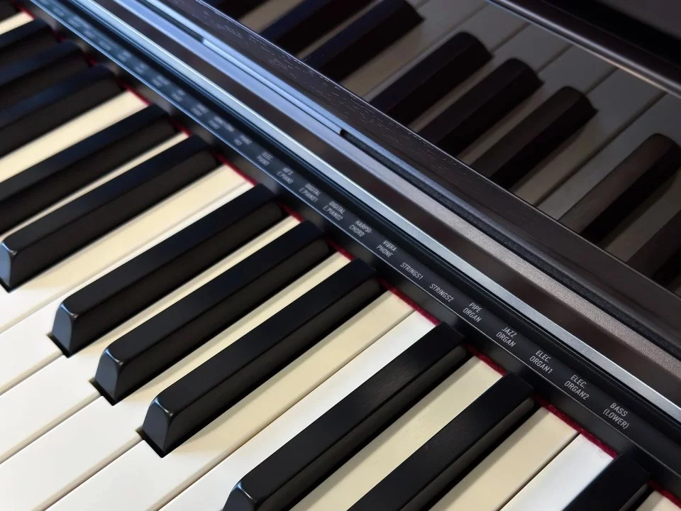 Casio AP-S450 Rosewood (R)