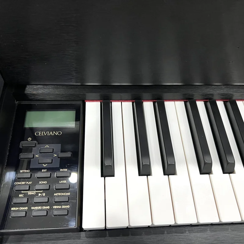 CASIO GP-300 WE (USED)