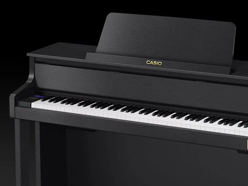 CASIO GP-310 BK (USED)