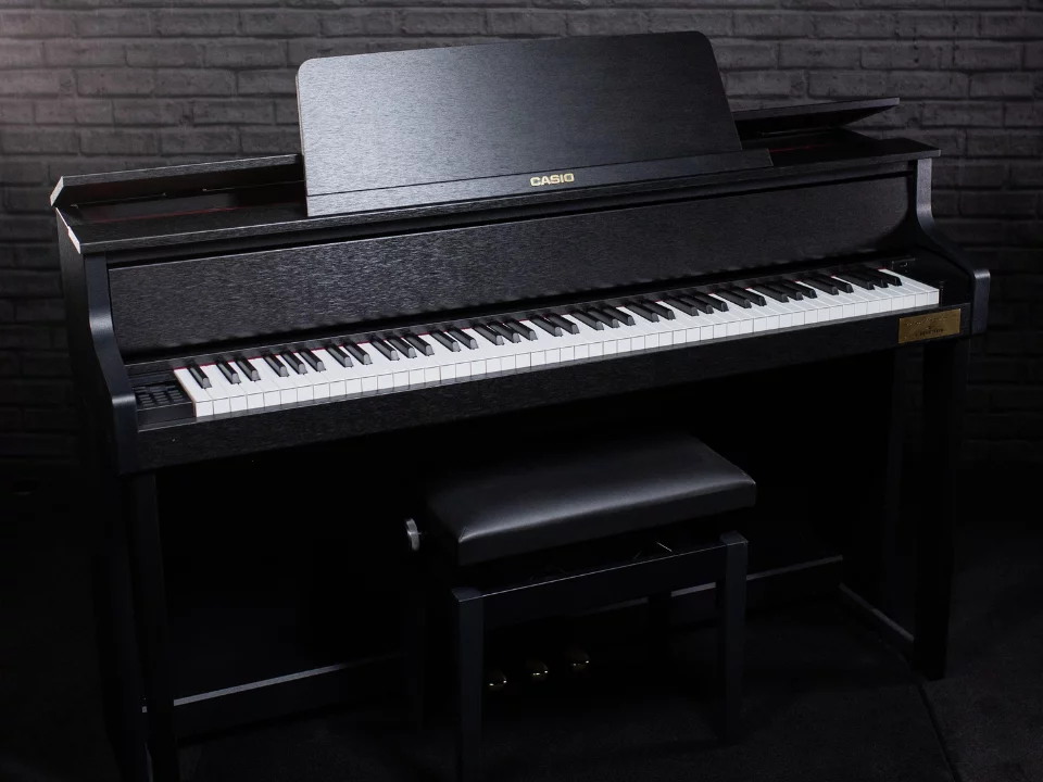 CASIO GP-310 BK (USED)