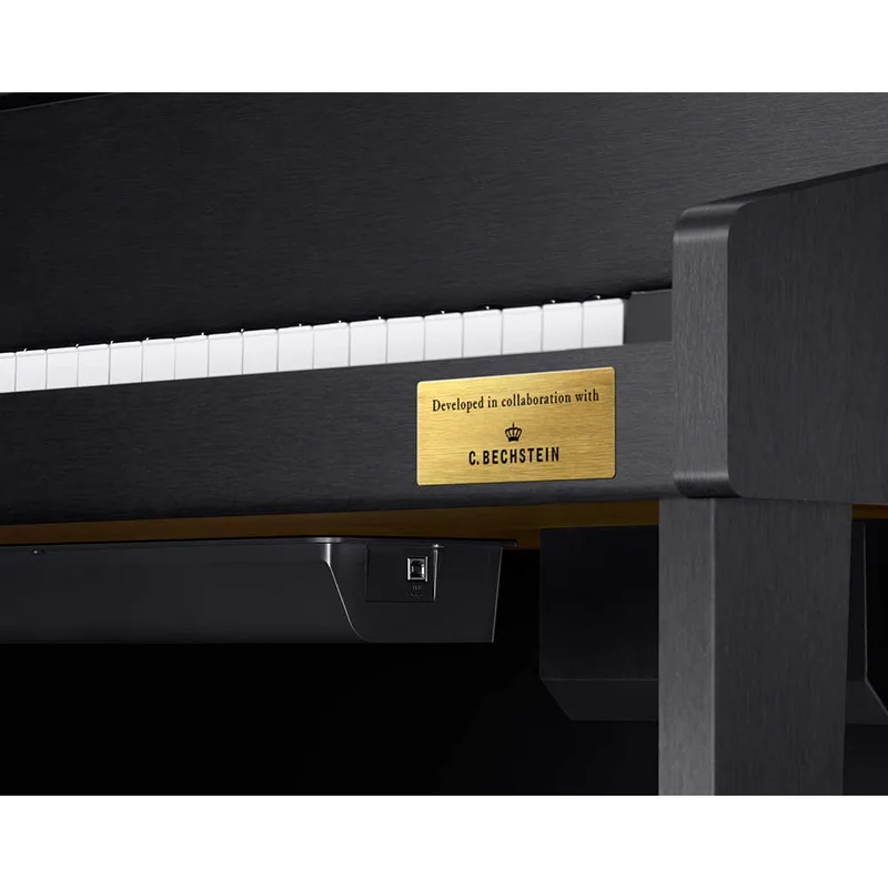 CASIO GP-310 BK (USED)