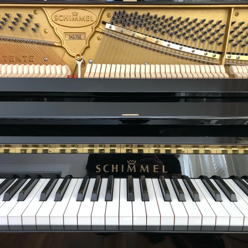 Schimmel Classic C116 Modern