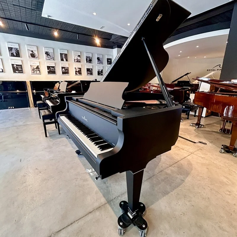 Schimmel Classic C169 The Black Pearl