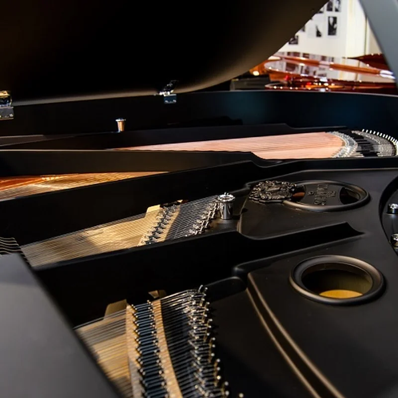 Schimmel Classic C169 The Black Pearl