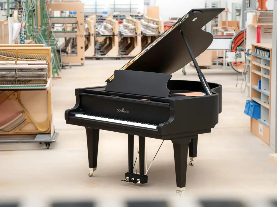 Schimmel Classic C169 The Black Pearl