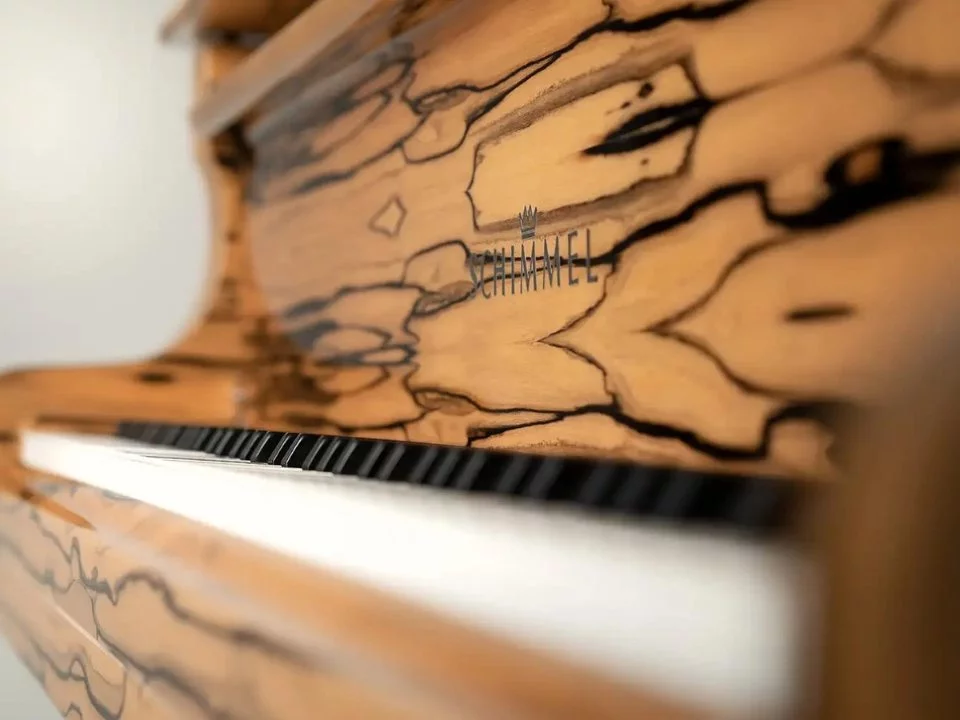 Schimmel Classic C169 White Ebony