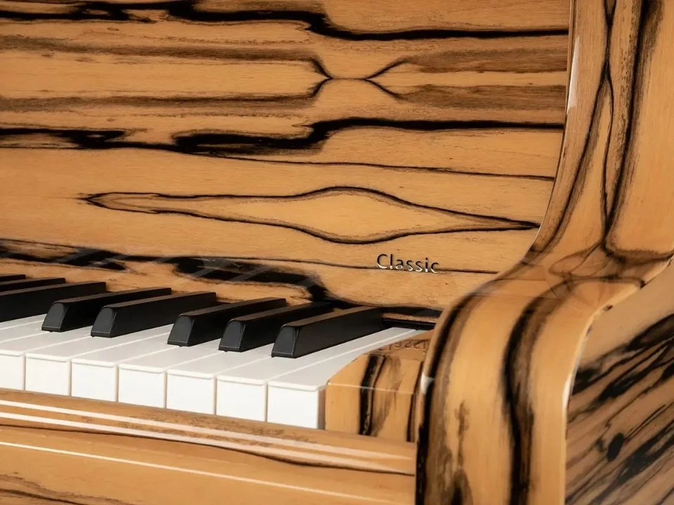 Schimmel Classic C169 White Ebony