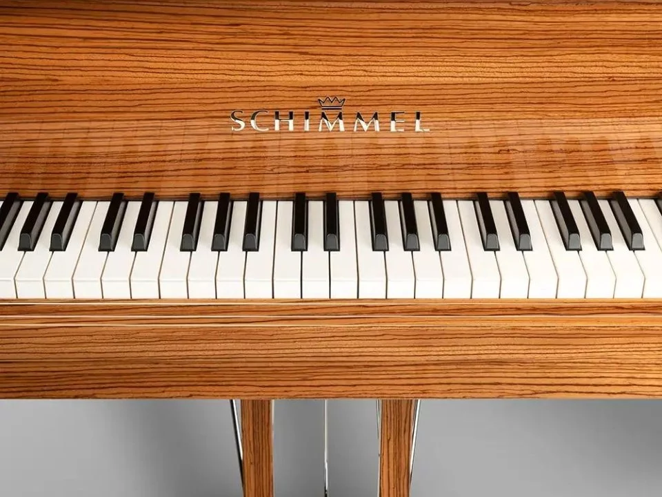 Schimmel Classic C169 Zebrano