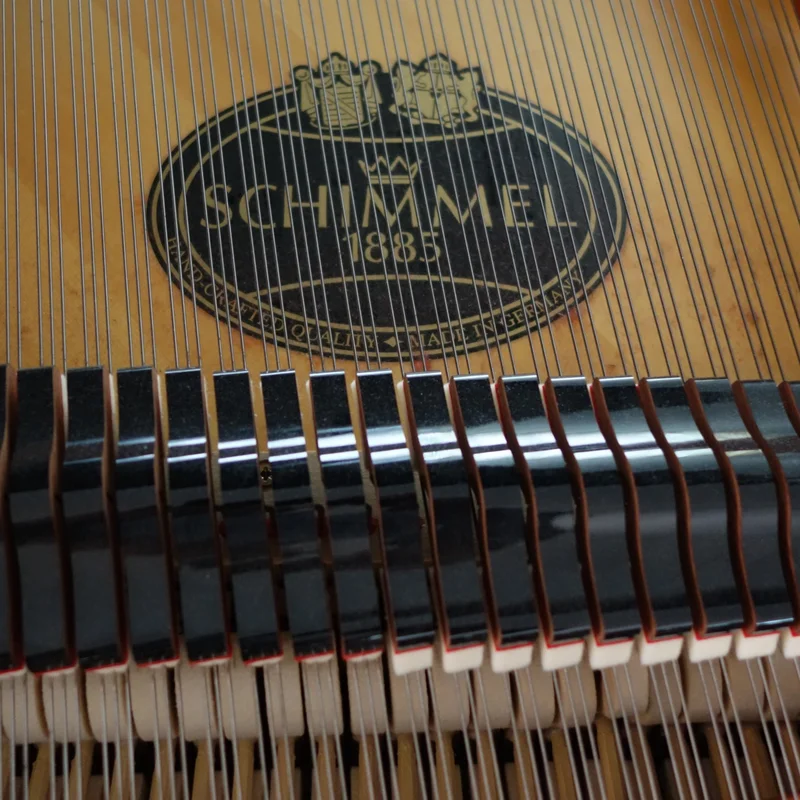 Schimmel Classic C169 Tradition