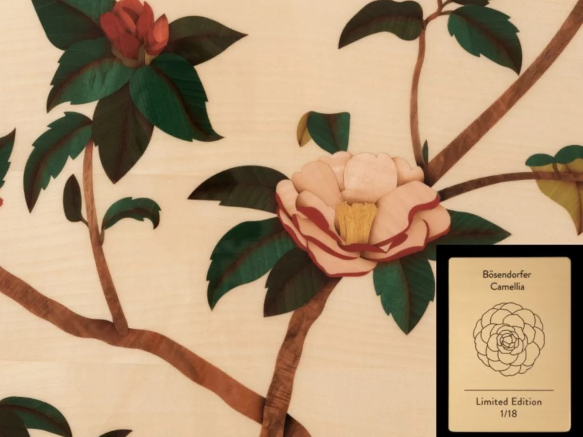 [Collector's Item] CAMELIA