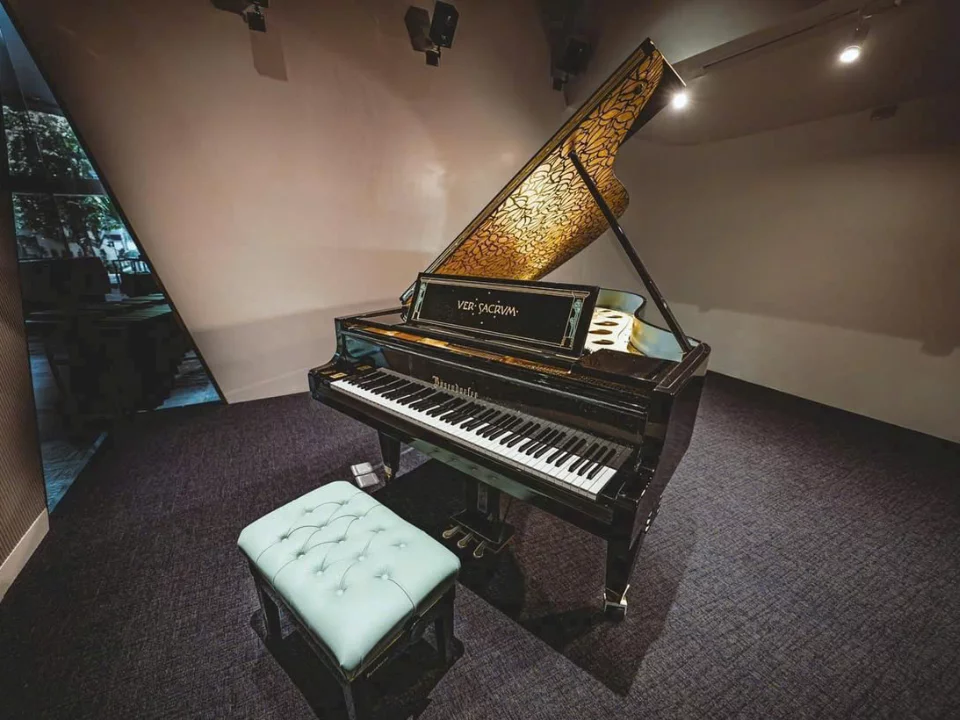 [Collector's Item] Bösendorfer Secession