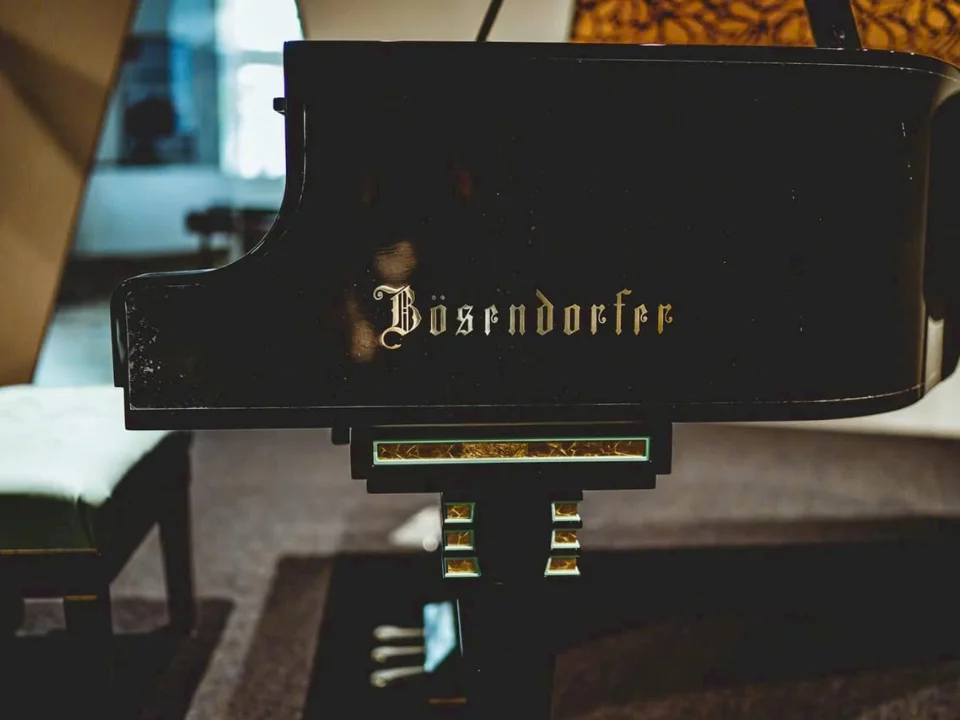 [Collector's Item] Bösendorfer Secession