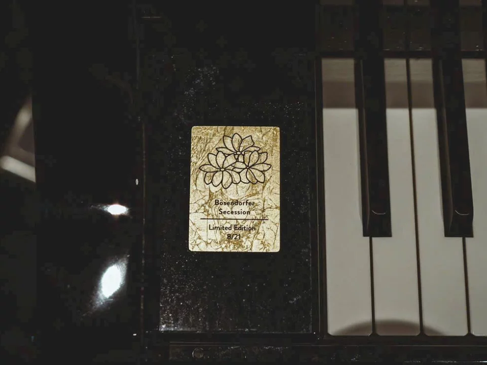 [Collector's Item] Bösendorfer Secession