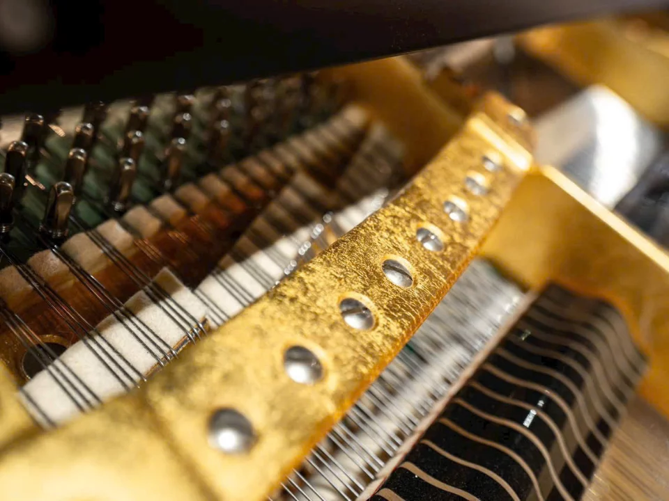[Collector's Item] Bösendorfer Secession