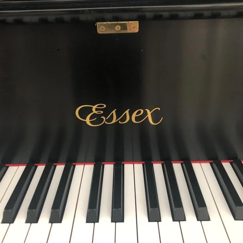 Essex EGP-161N Cherry Satin (USED)