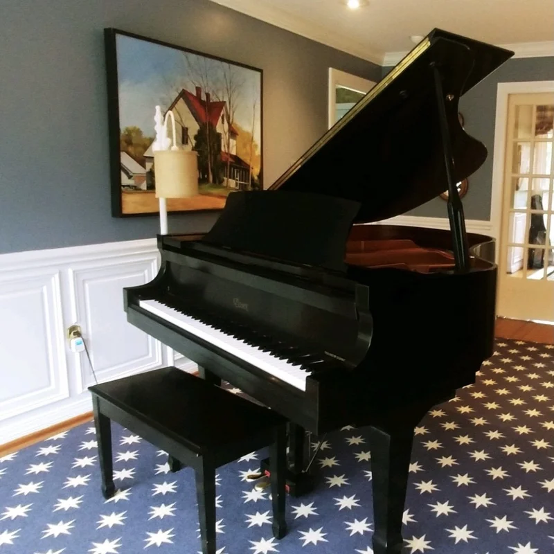 Essex EGP-161N Cherry Satin (USED)