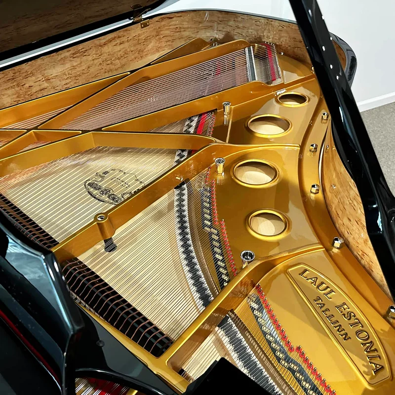 Estonia L190 Pyramid Mahogany