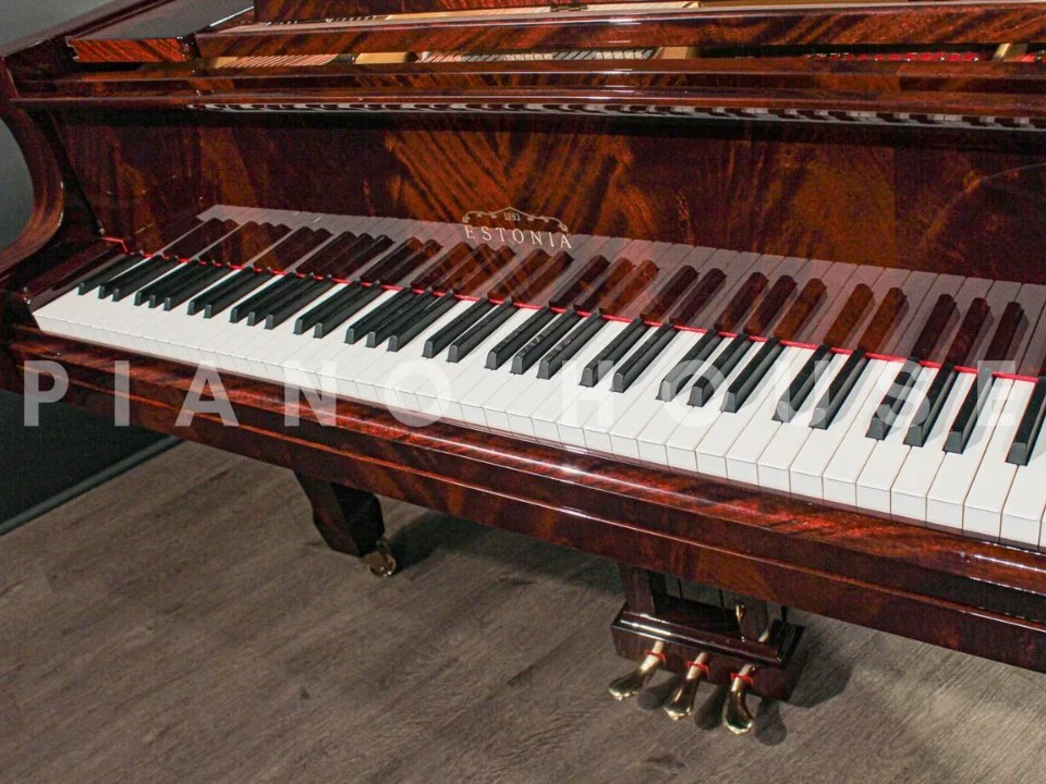 Estonia L190 Pyramid Mahogany