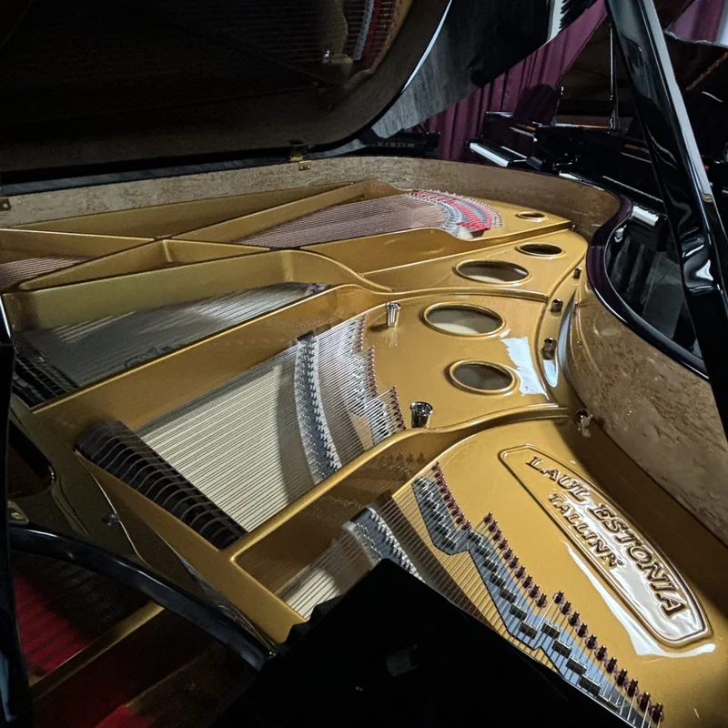 Estonia L210 Polish Ebony