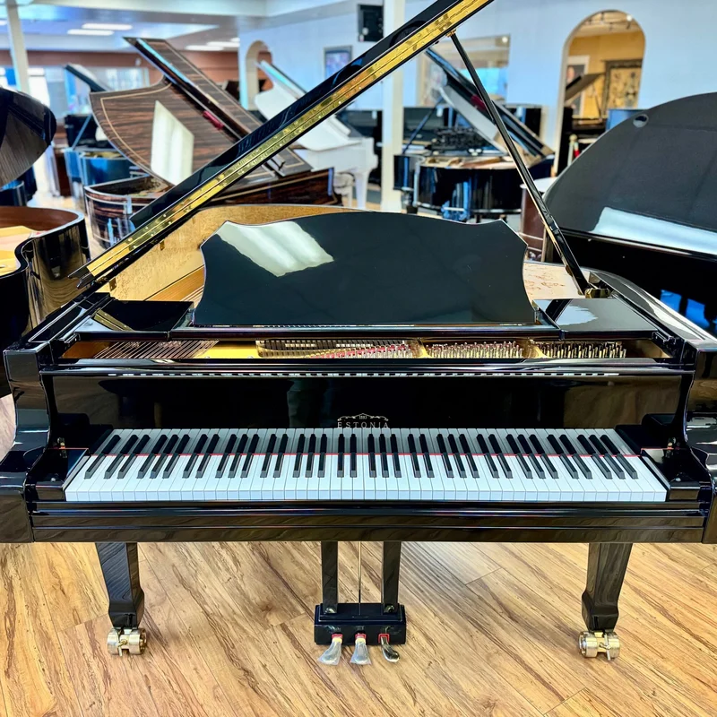 Estonia L225 Polish Ebony