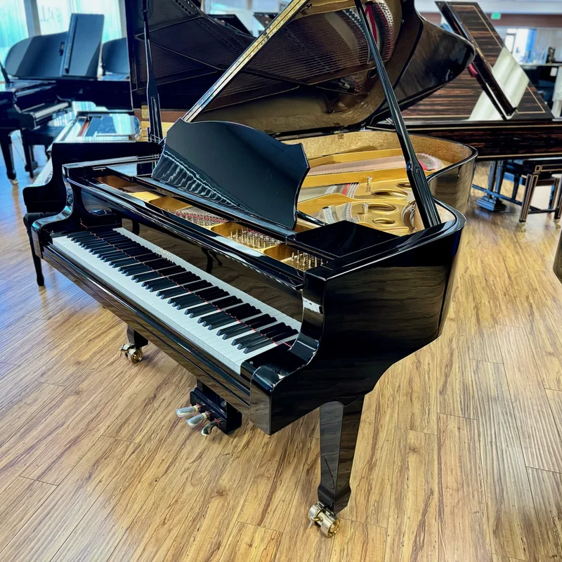 Estonia L225 Polish Ebony