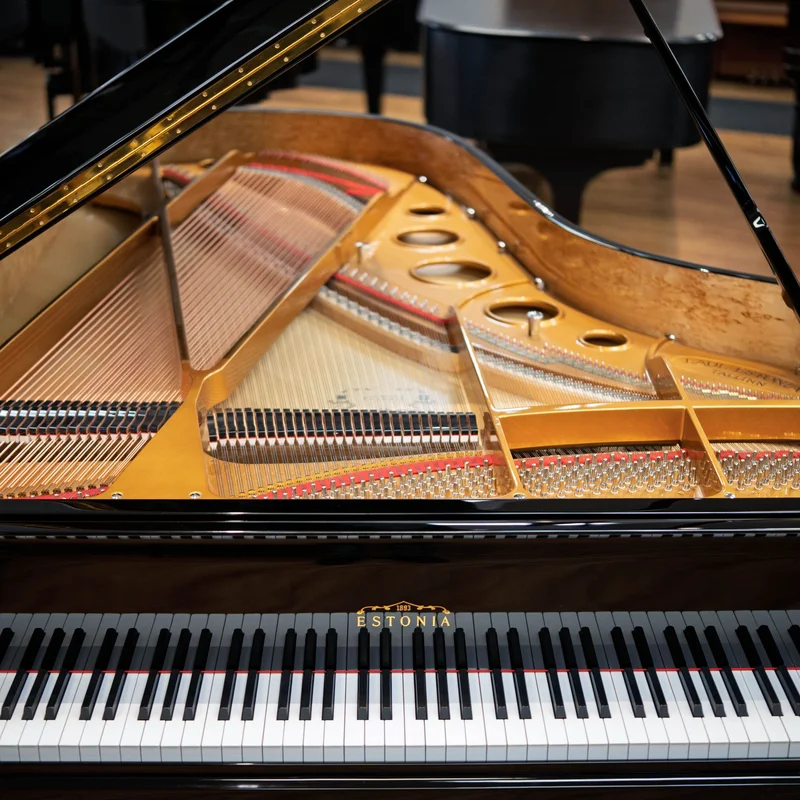 Estonia L225 Polish Ebony