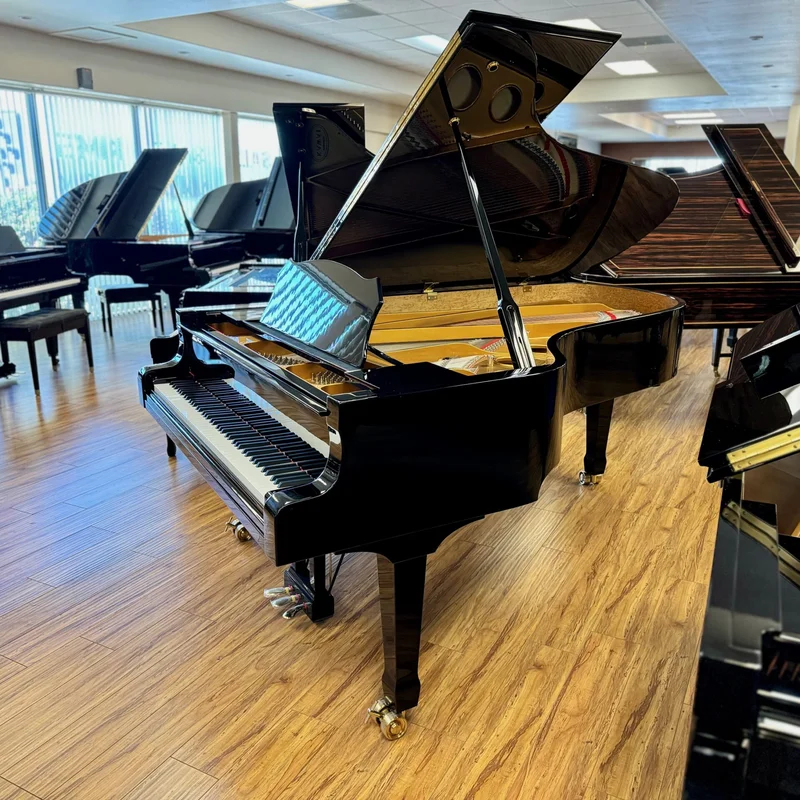 Estonia L225 Polish Ebony