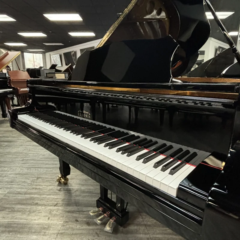 Estonia L225 Polish Ebony