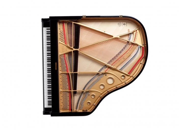 Fazioli F156 - Baby Grand