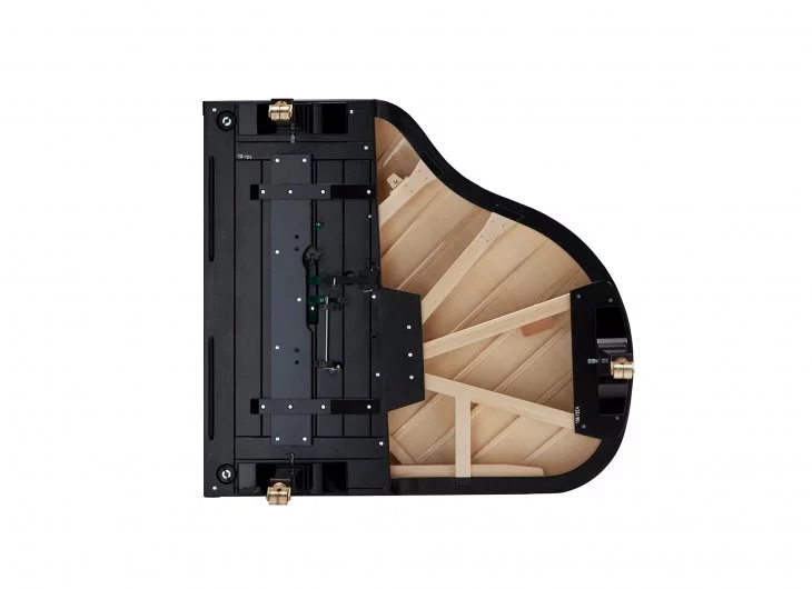 Fazioli F183 - Living Room Grand