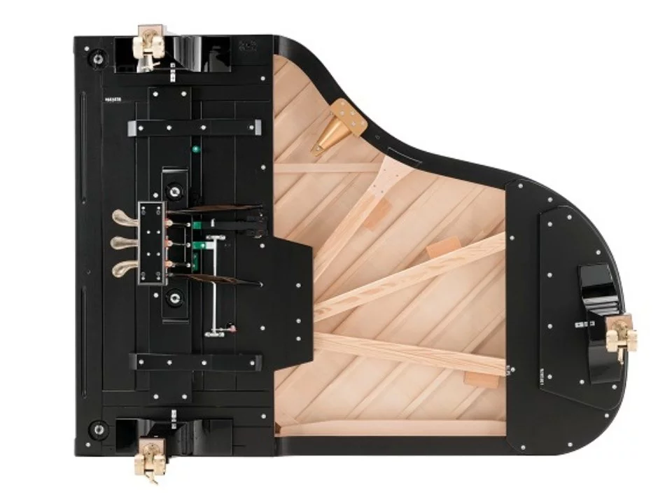 Fazioli F198 - Concert Baby Grand