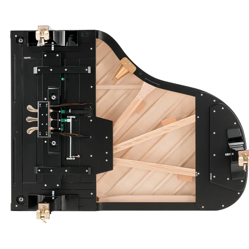 Fazioli F198 - Concert Baby Grand