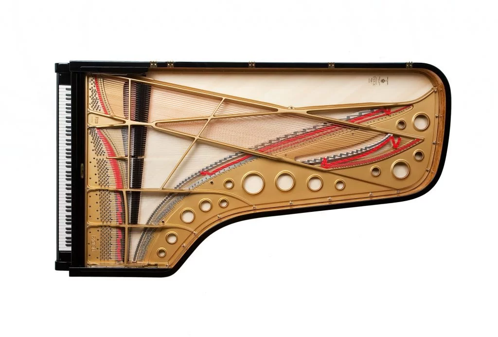 Fazioli F308 - The Longest Grand Piano