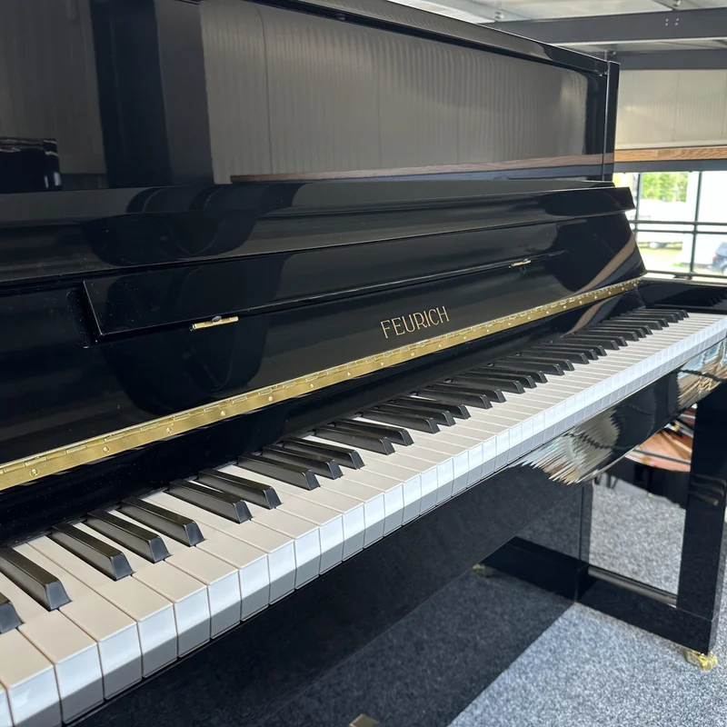 FEURICH 115 Premiere (Black Polished)