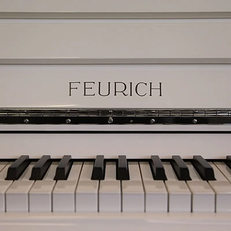 FEURICH 122 Universal (White Polished - Chrome)
