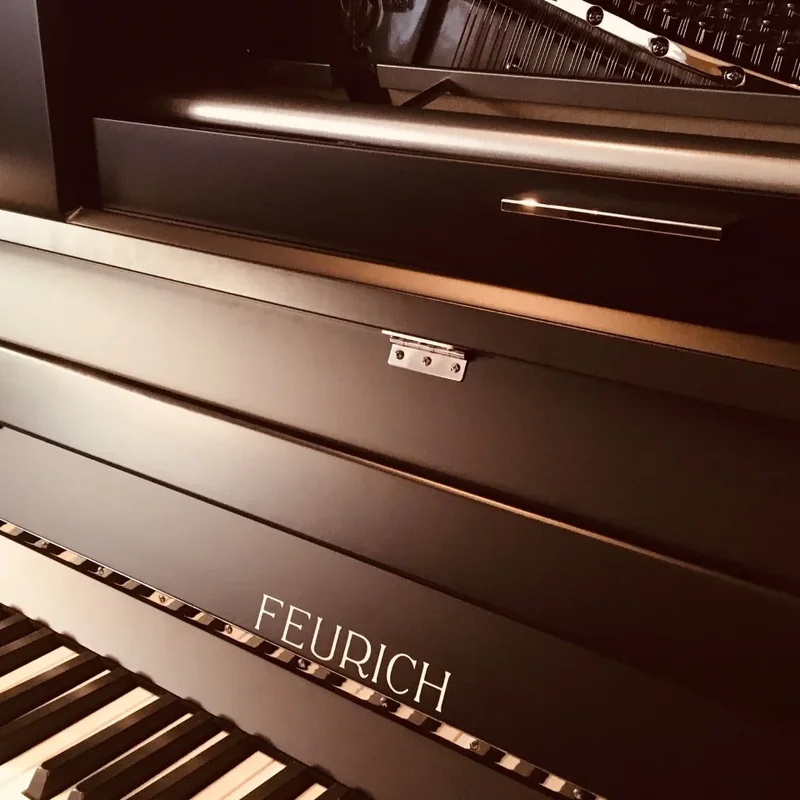 FEURICH 123 Vienna Modern (Made in Austria) - Special Edition
