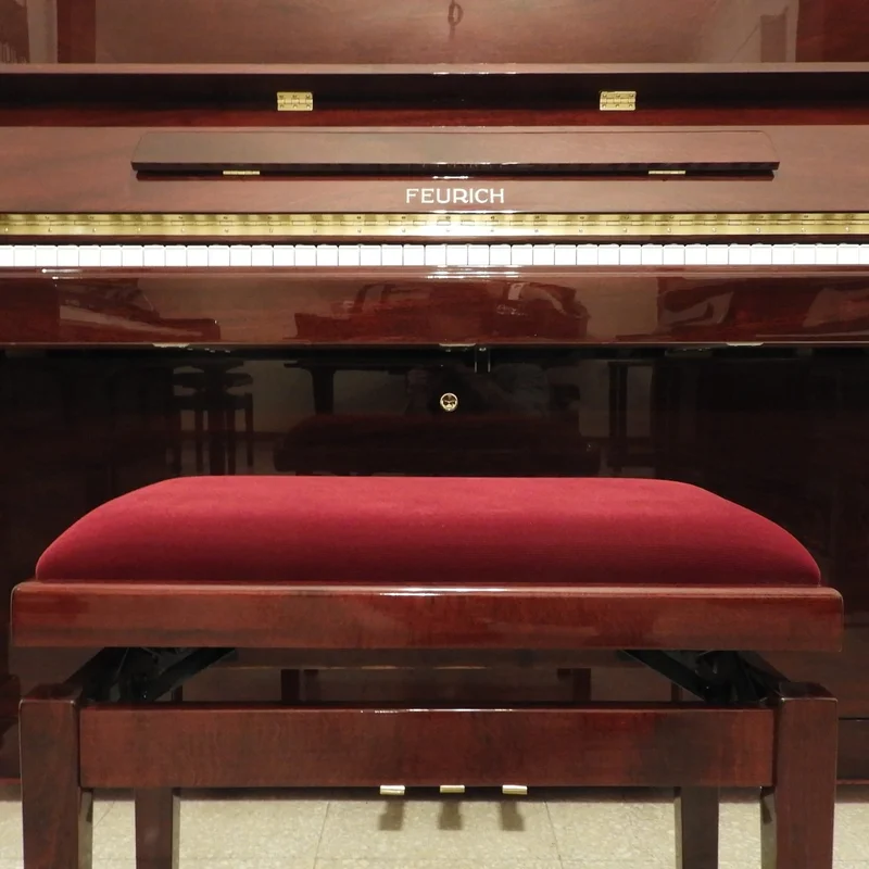 FEURICH 162 - "DYNAMIC I" (Bordeaux Polished)