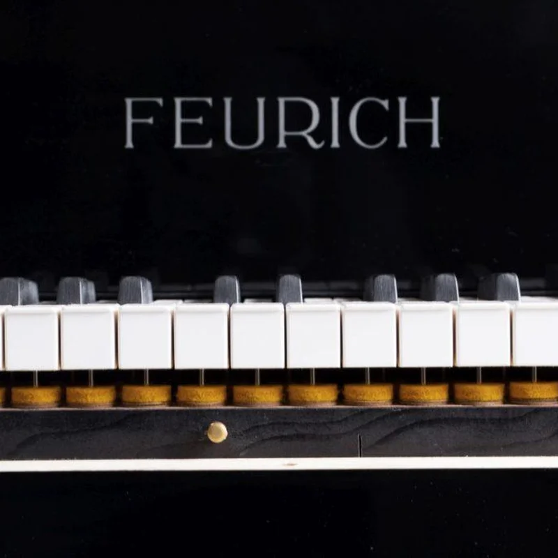 FEURICH 162  & DYNAMIC I (Black Polish & Brass)