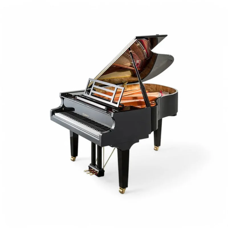 FEURICH 162  & DYNAMIC I (Black Polish & Brass)