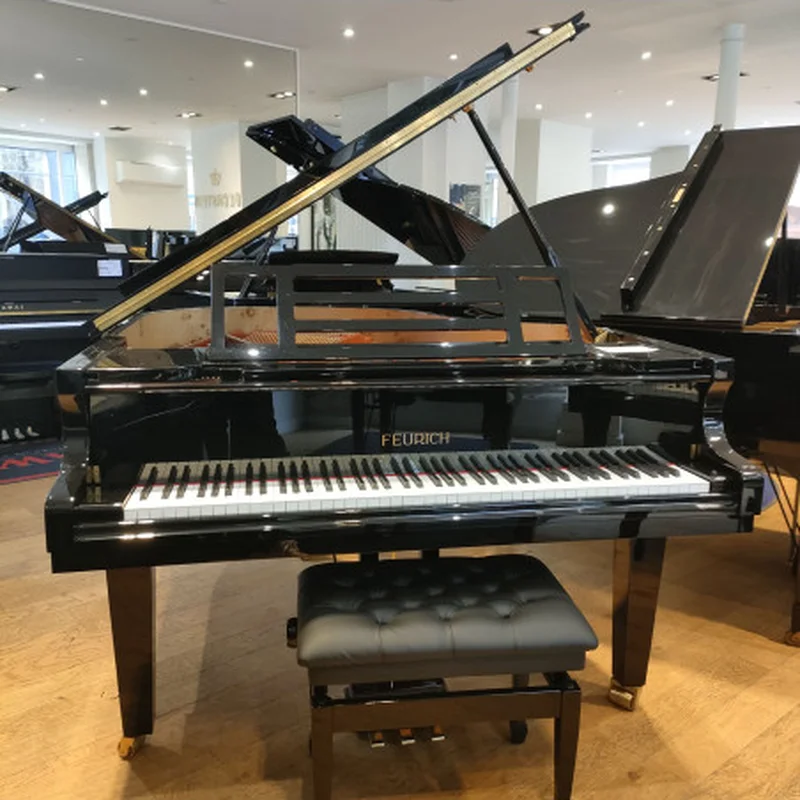 FEURICH 162  & DYNAMIC I (Black Polish & Brass)