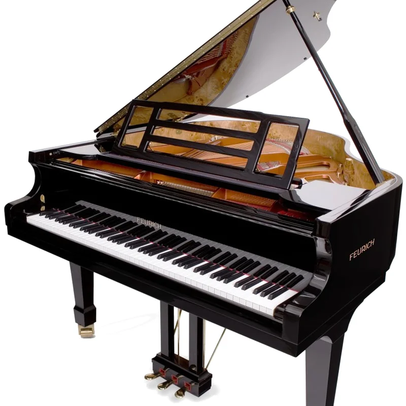 FEURICH 162  & DYNAMIC I (Black Polish & Brass)