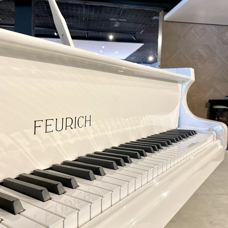 FEURICH 162 - "DYNAMIC I" (Black Polish & Chrome)