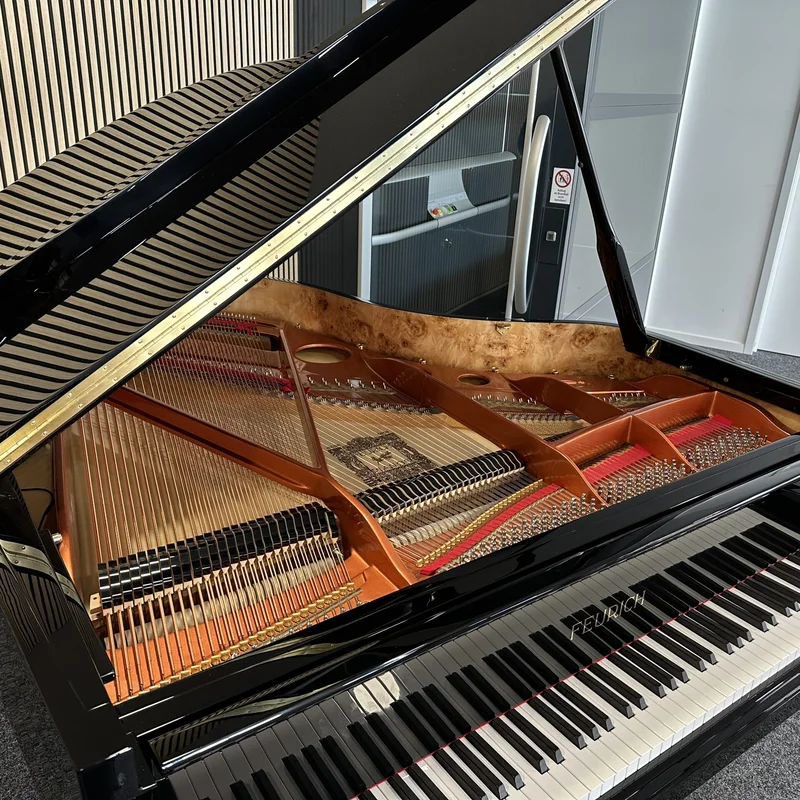 FEURICH 179 - "DYNAMIC II" (Black Polish & Chrome)