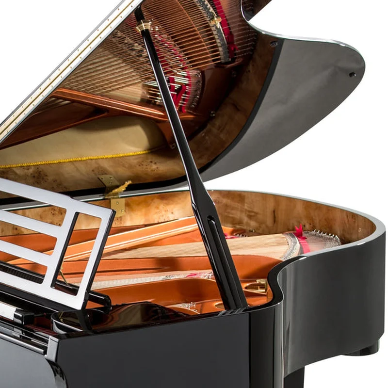 FEURICH 179 - "DYNAMIC II" (Black Polish & Chrome)